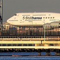 ５Starhansa
