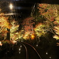 もみじのトンネル