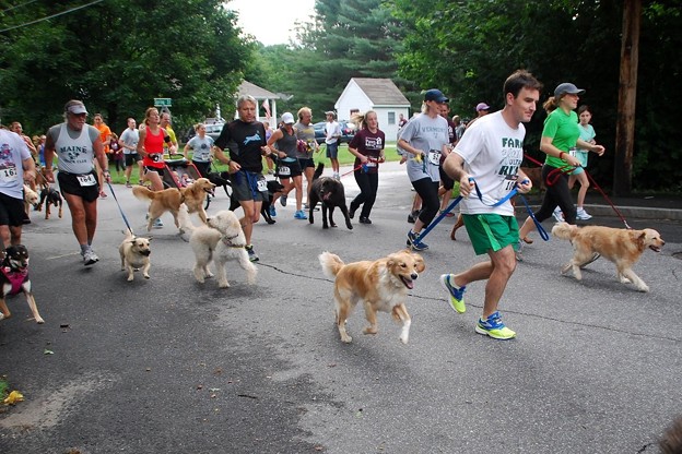 Photos: 5K Race Dogs 8-22-15