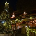 Photos: The Third Street Christmas Tree 2018