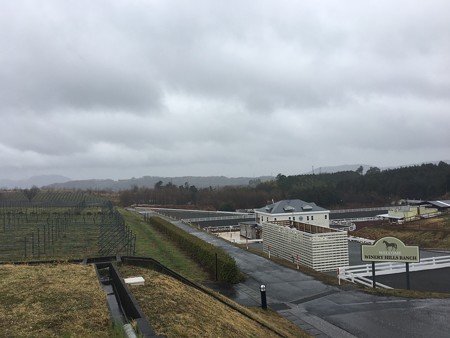 広大な敷地は畑と様々な施設がありますね到着!近場だけど山の中にありましたわ@中伊豆ワイナリー