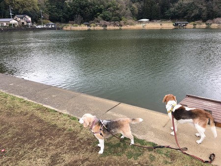 韮山城池親水公園に来たよ!