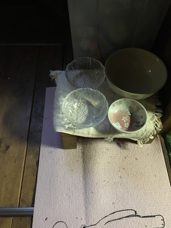 やった!完食してくれた!
