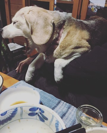 おとーちゃまにぴったりんこ(抱っこちぅ)