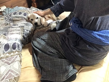 お花とプリティうみちゃん
