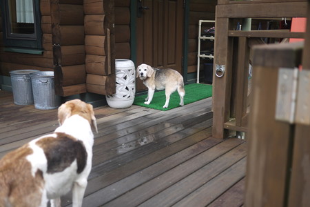 おかーちゃま、聞いてまちゅ?写真なんか撮ってないでくだちゃい