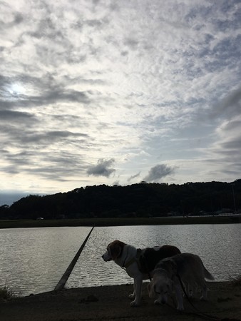 すっかり田舎っぺうみちゃん、田んぼが似合うよ