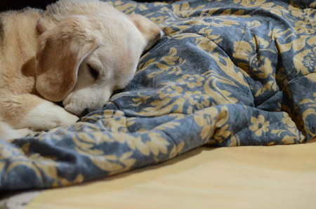 可愛いうみちゃんのネンネ写真撮ろッと(Nikon D7000)