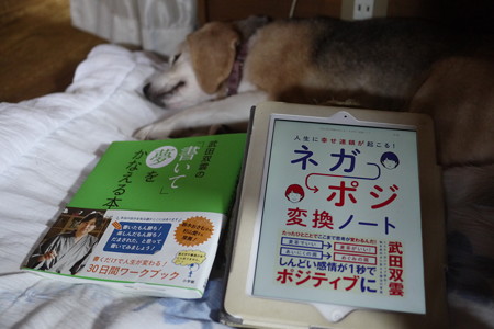 良い本に巡り合いました!