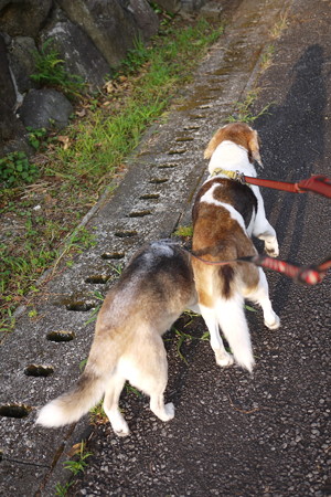声かけてみたら