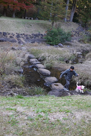 家族で森の公園散歩