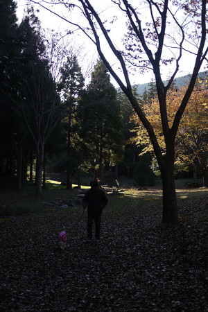 家族で森の公園散歩
