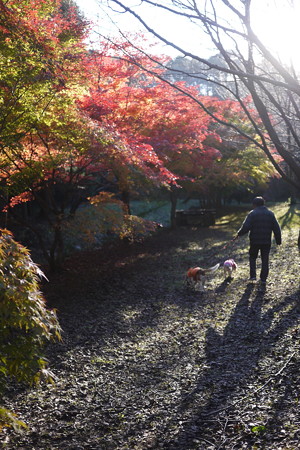 家族で森の公園散歩