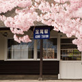 Photos: 足尾駅の春