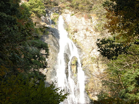 DSCN0172