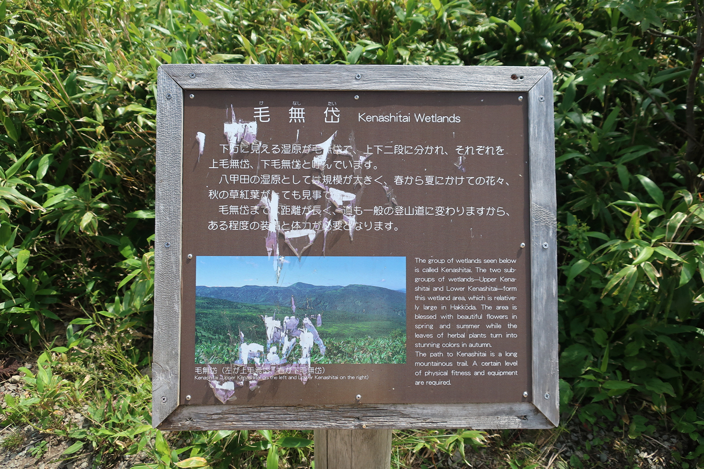 散策案内3
