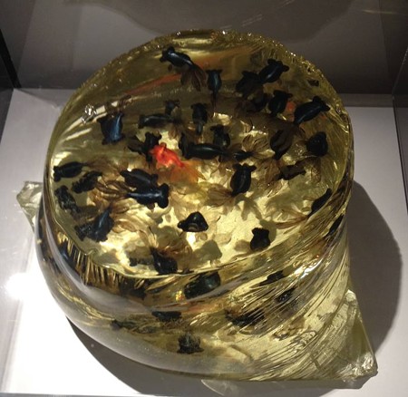 金魚酒_23