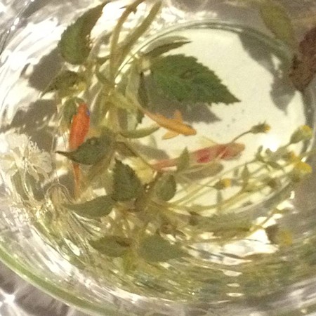 金魚酒_34