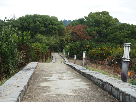 大崎下島