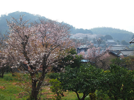 西幡豆駅