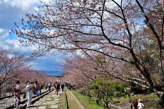 2019_0331_134009　インクラインのはる
