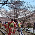 Photos: 2019_0331_134440　インクライン