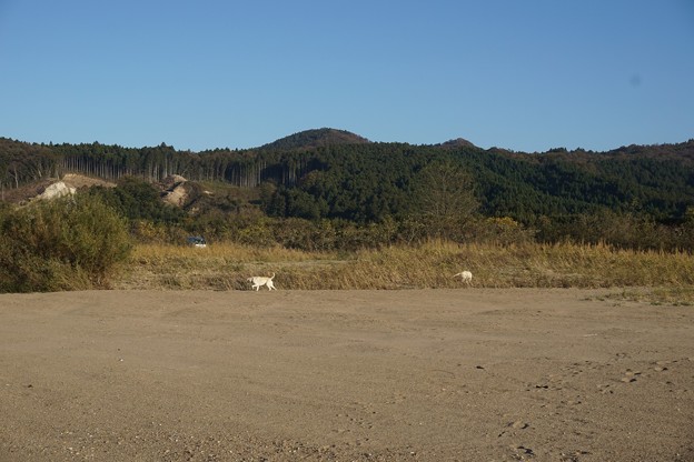 川原