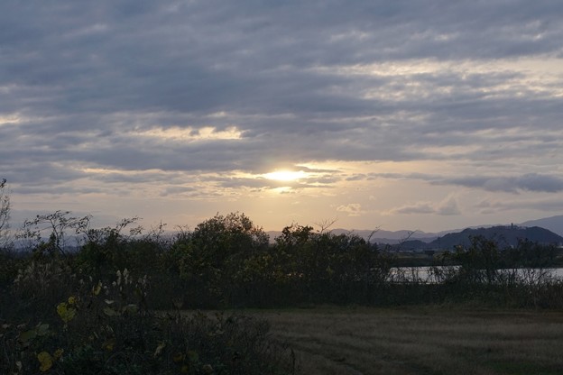 夕暮れ原っぱ