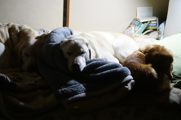 乗っ取り犯