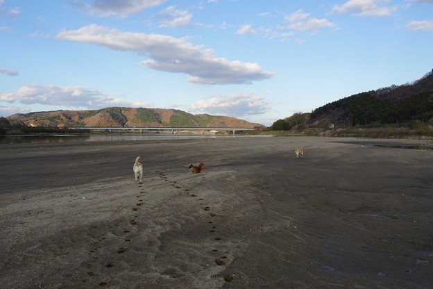 川原