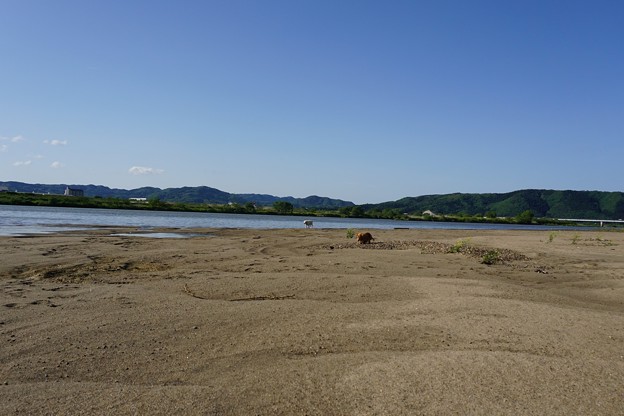 晴れ