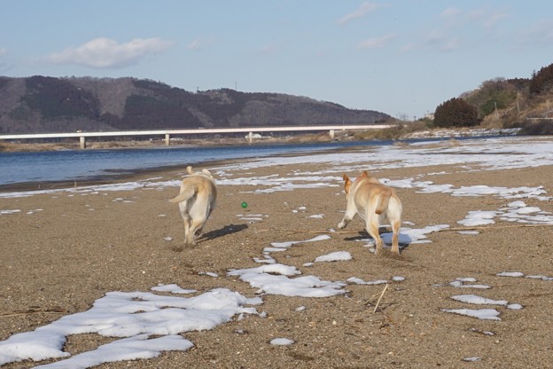 雪解け進む