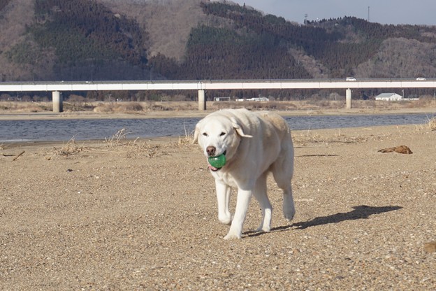 きょうは立春