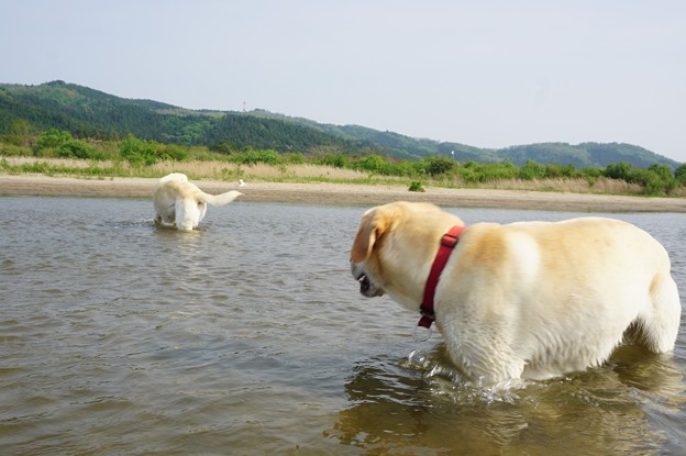 水遊び