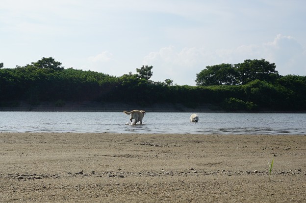 水遊び