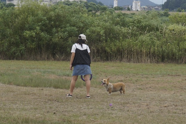 わんこ原っぱ