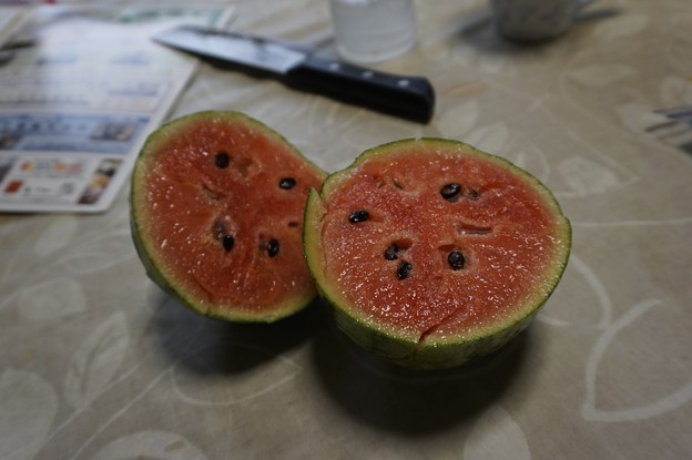 家のスイカ