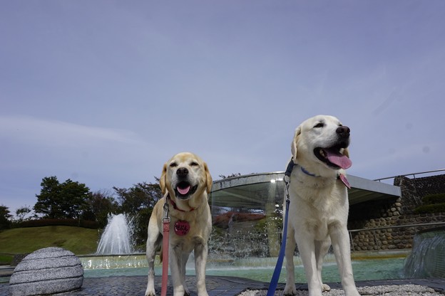 湖畔公園