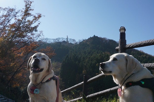 青い空