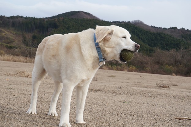 風が吹く