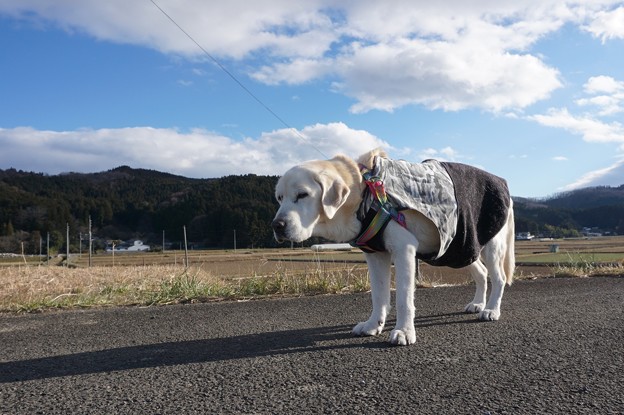 2018ラスト日