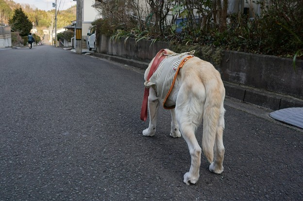 くん子さん