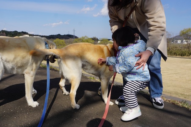 なかよし