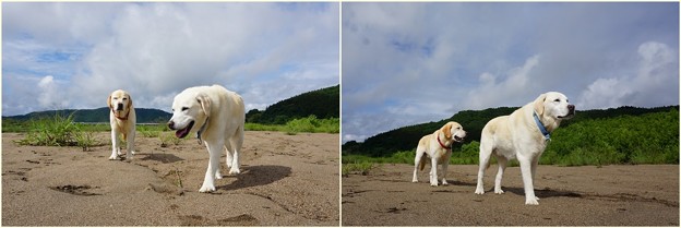 雨が上がった
