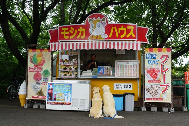 みちのく公園