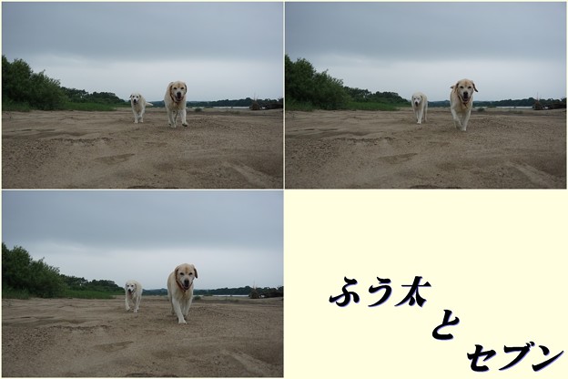 ふう太とセブン