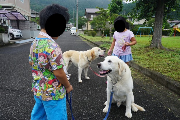 朝の人気者