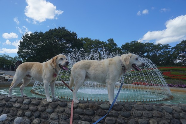みちのく公園