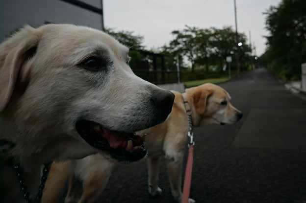 雨の日