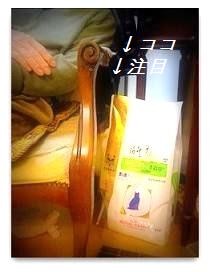 016注目